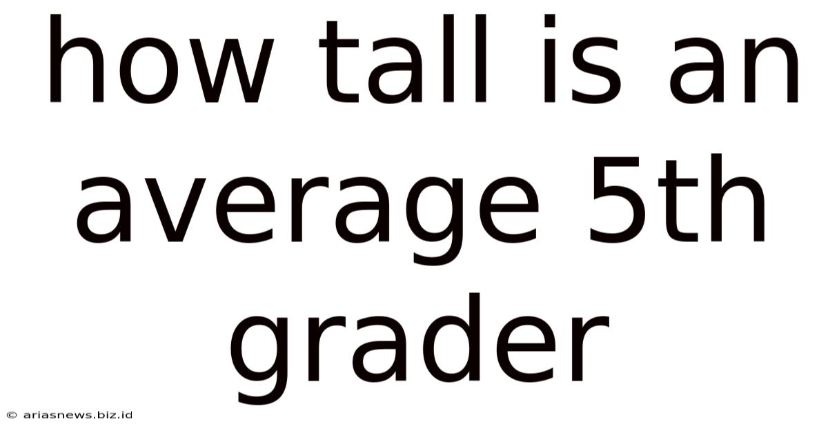How Tall Is An Average 5th Grader