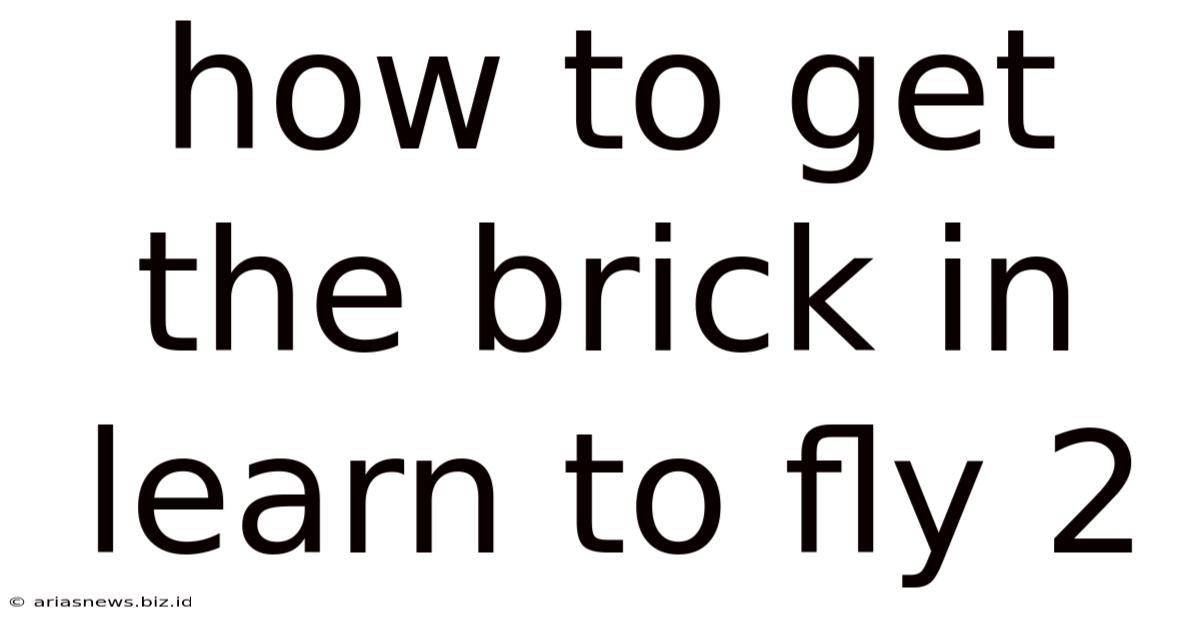 How To Get The Brick In Learn To Fly 2