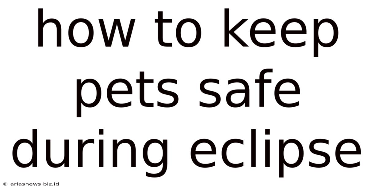 How To Keep Pets Safe During Eclipse