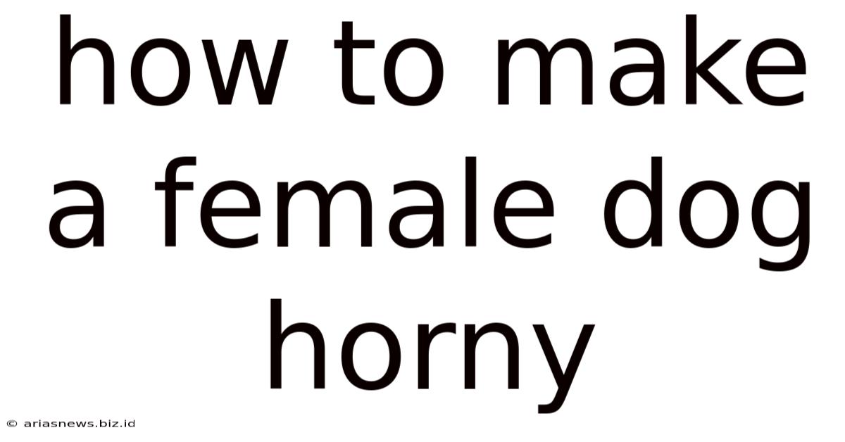 How To Make A Female Dog Horny