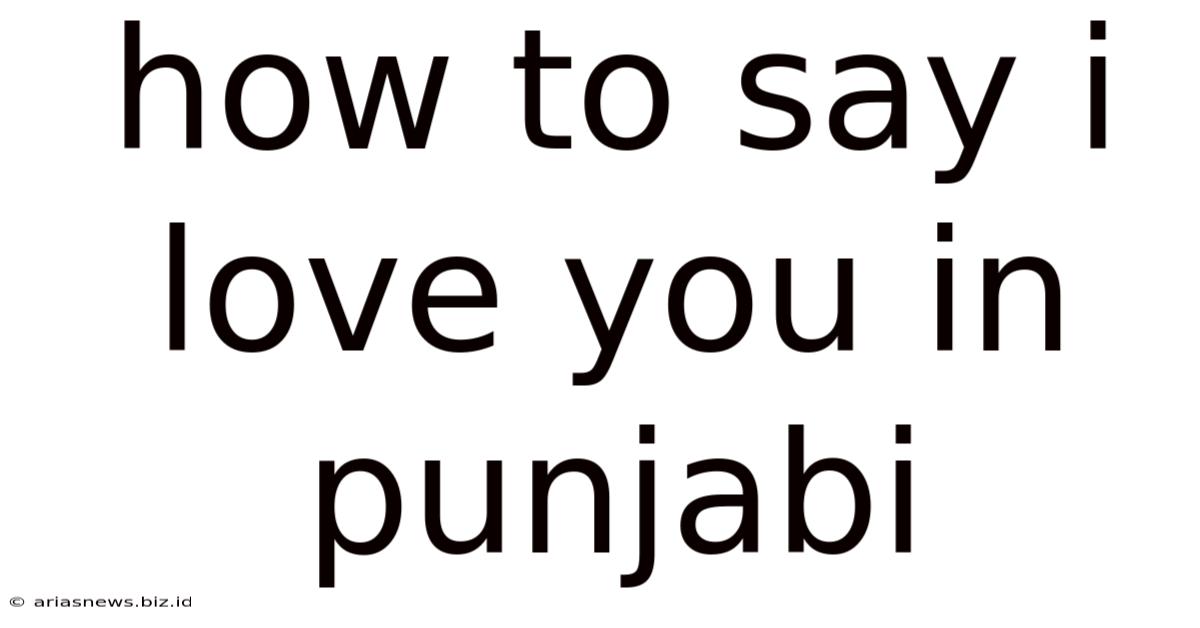 How To Say I Love You In Punjabi