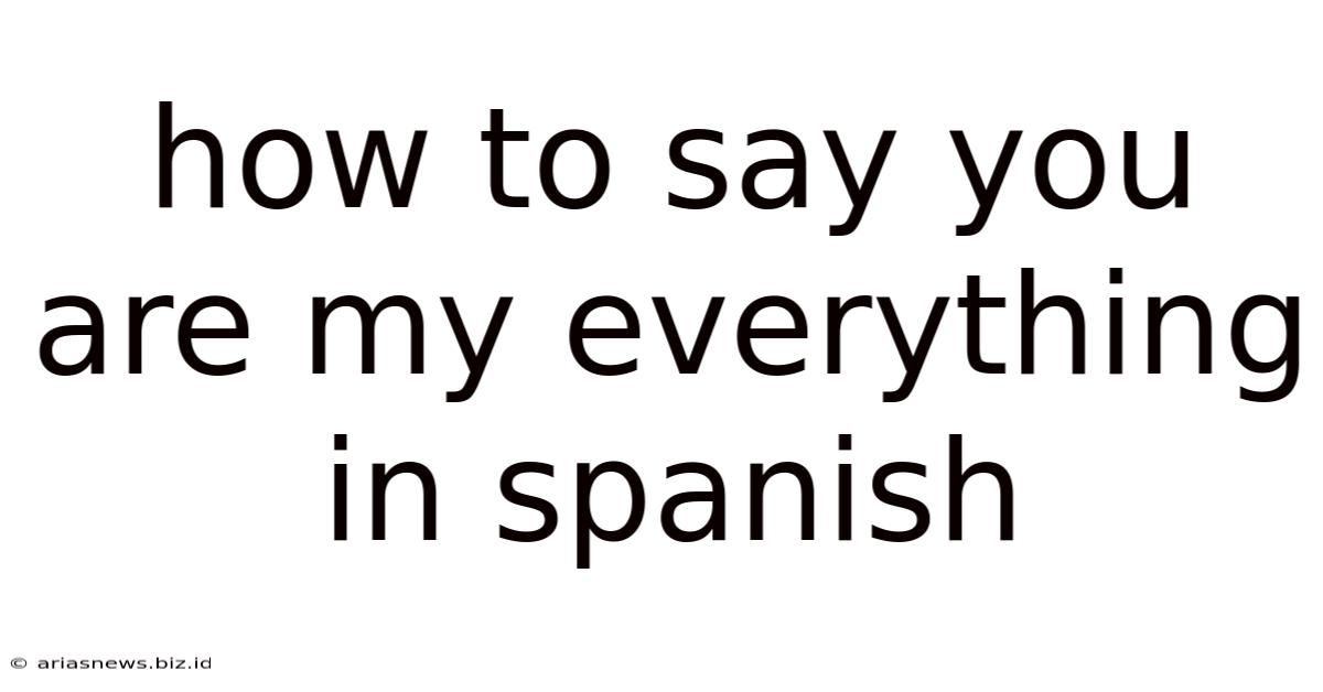 How To Say You Are My Everything In Spanish