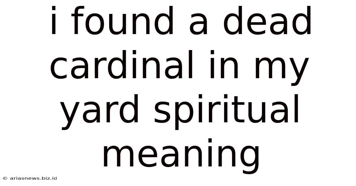 I Found A Dead Cardinal In My Yard Spiritual Meaning