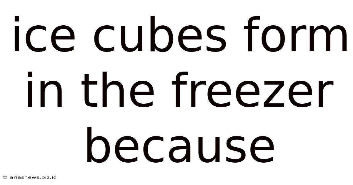 Ice Cubes Form In The Freezer Because