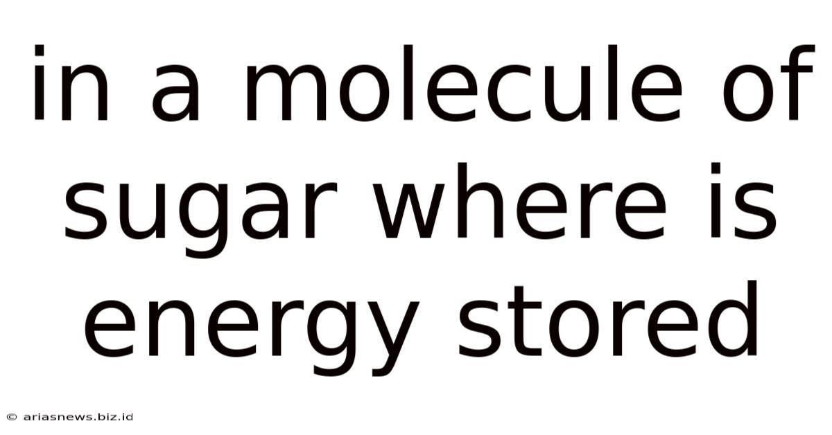 In A Molecule Of Sugar Where Is Energy Stored