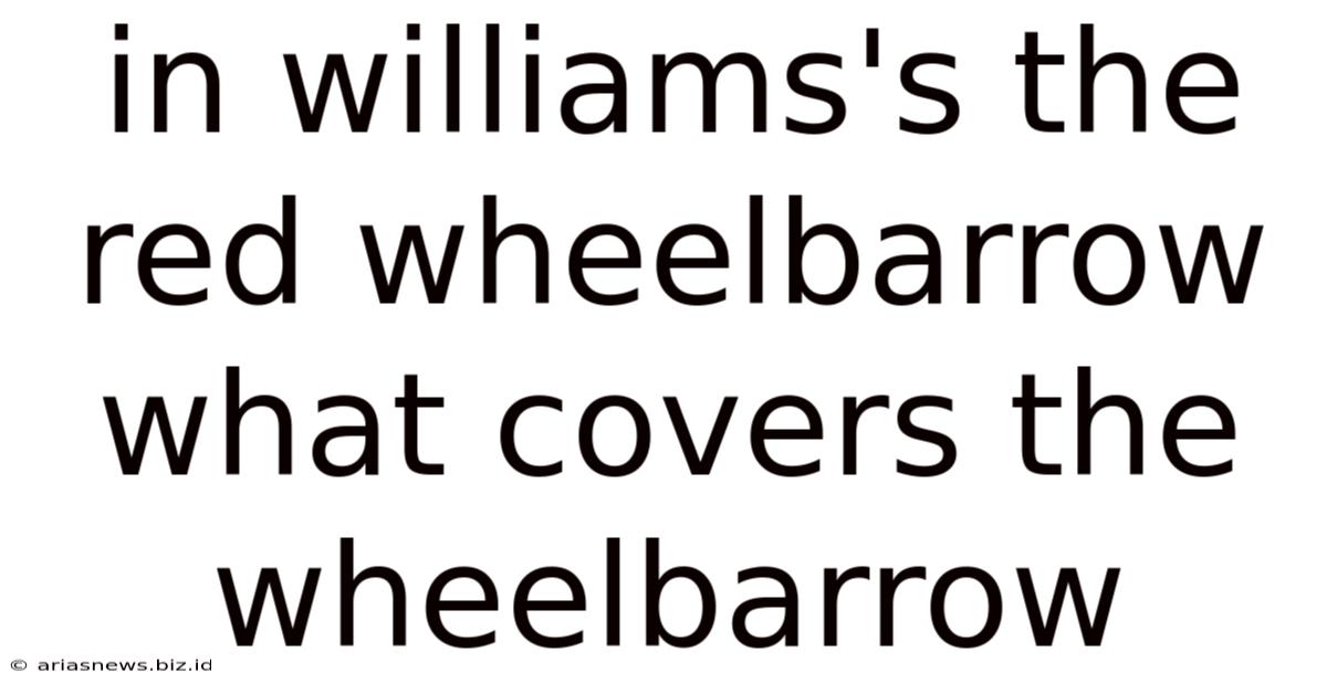 In Williams's The Red Wheelbarrow What Covers The Wheelbarrow