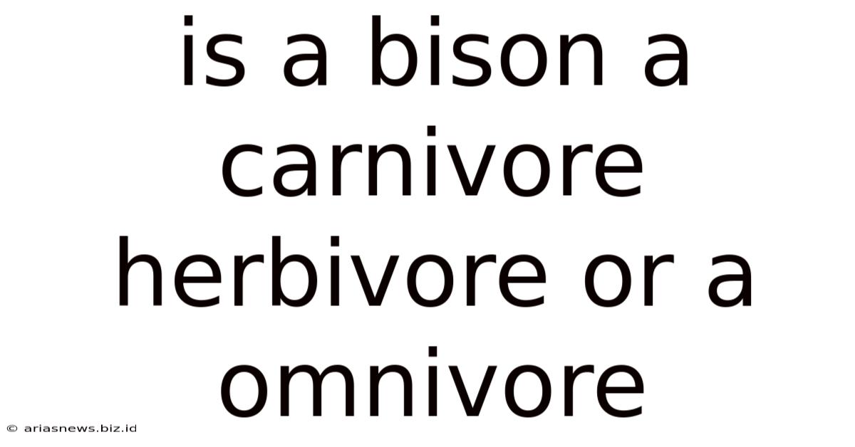 Is A Bison A Carnivore Herbivore Or A Omnivore