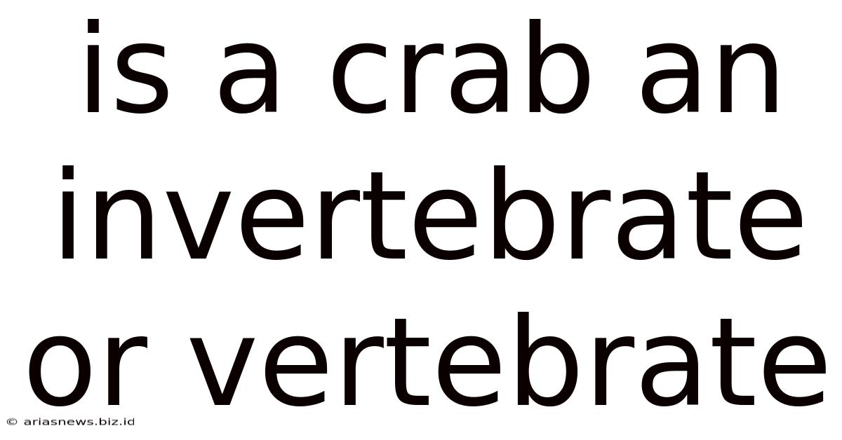 Is A Crab An Invertebrate Or Vertebrate