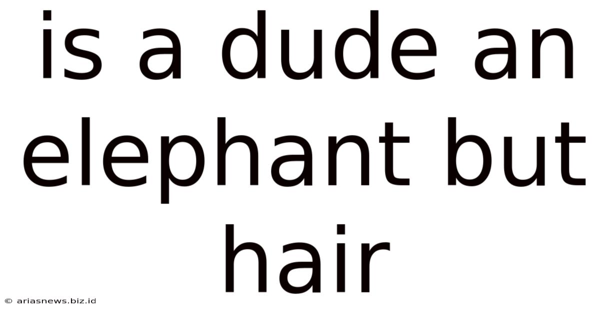 Is A Dude An Elephant But Hair