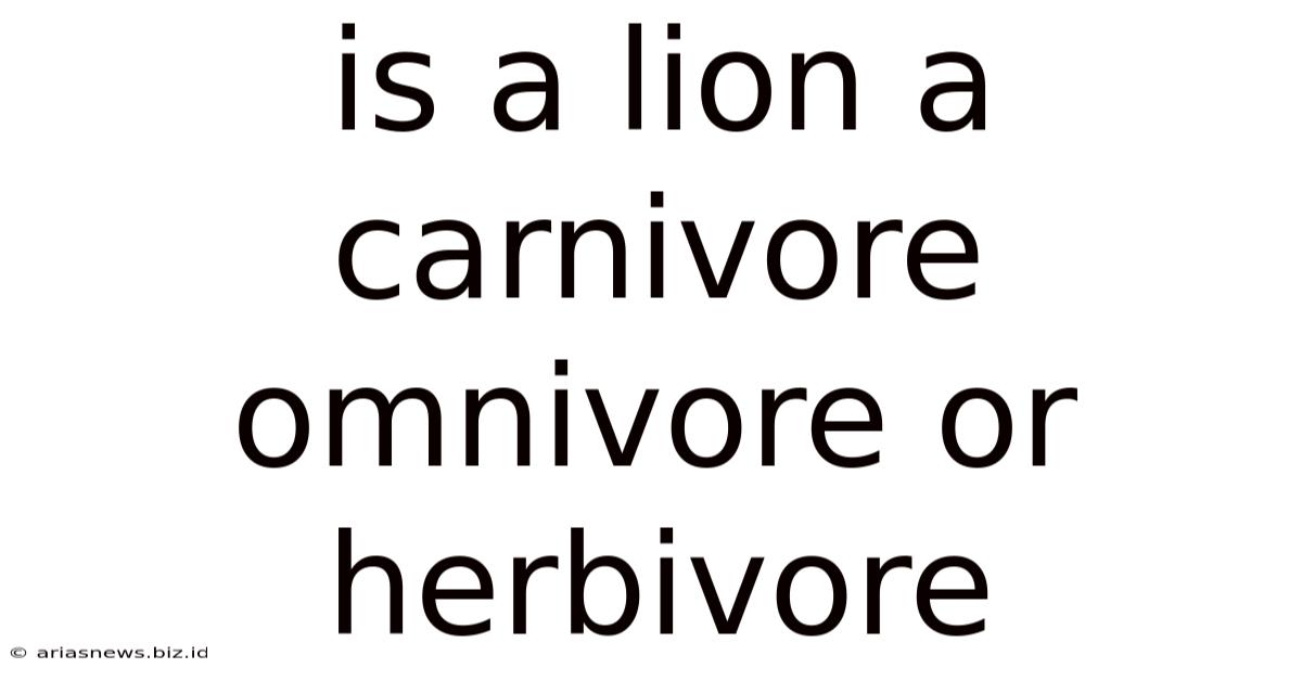 Is A Lion A Carnivore Omnivore Or Herbivore