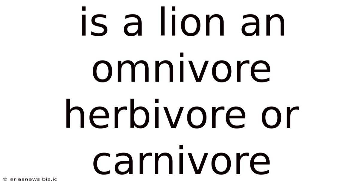 Is A Lion An Omnivore Herbivore Or Carnivore