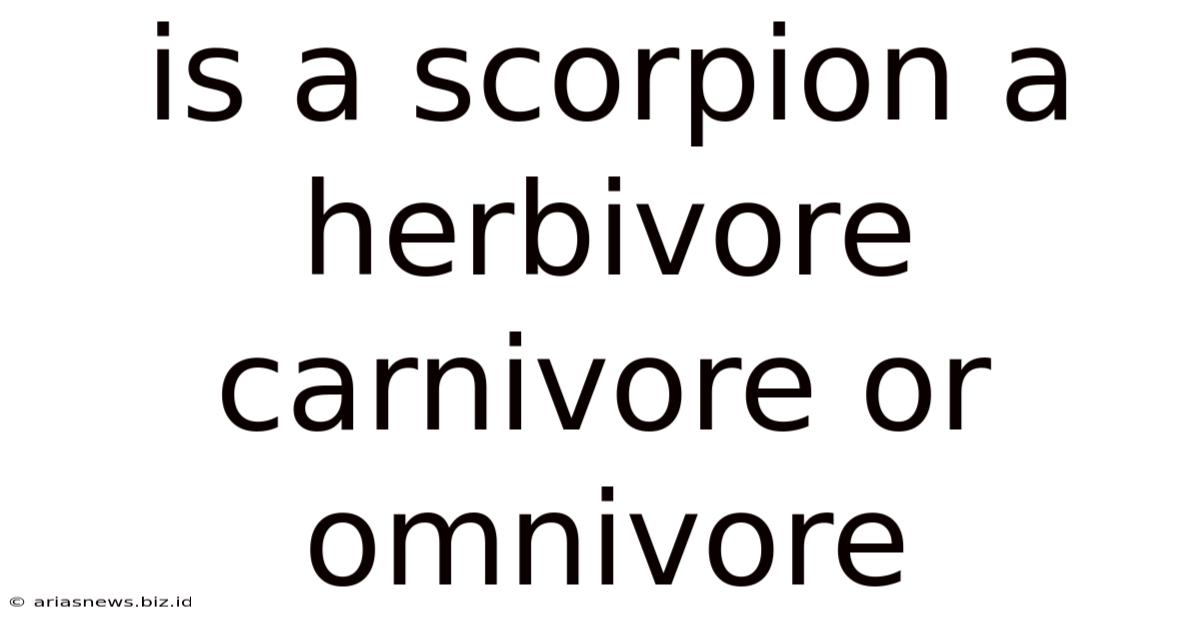 Is A Scorpion A Herbivore Carnivore Or Omnivore
