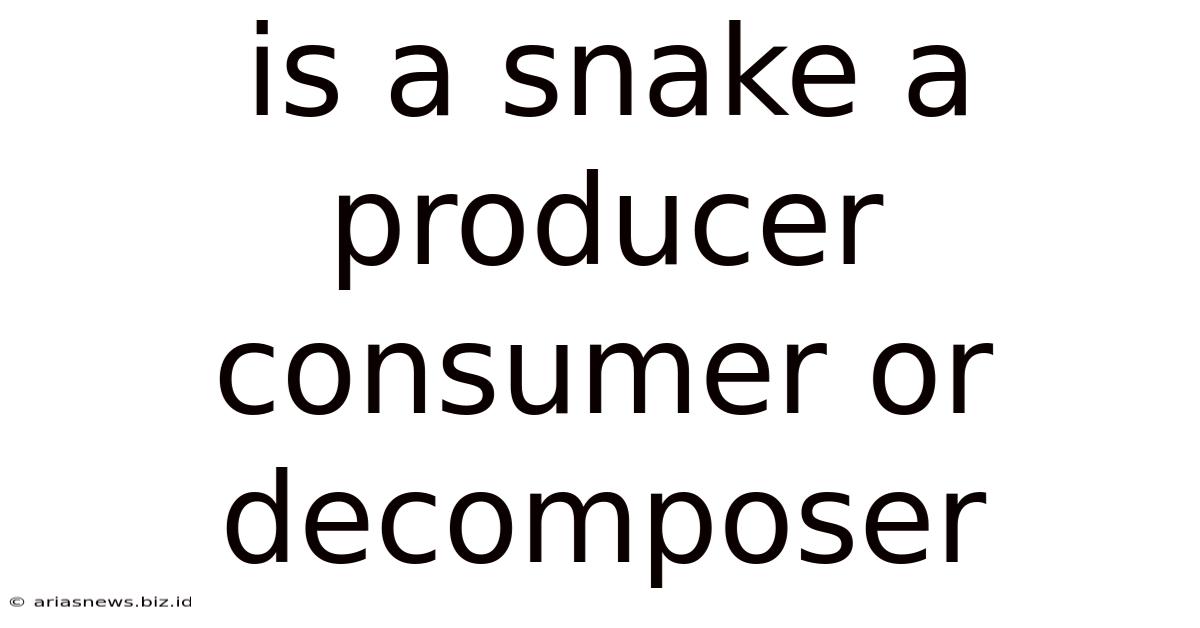 Is A Snake A Producer Consumer Or Decomposer