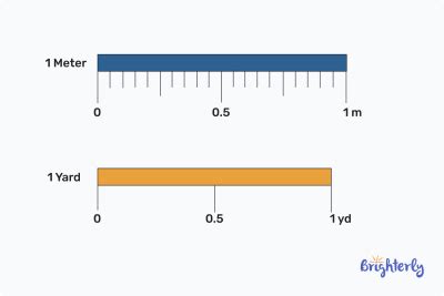 Is A Yard Or A Meter Longer