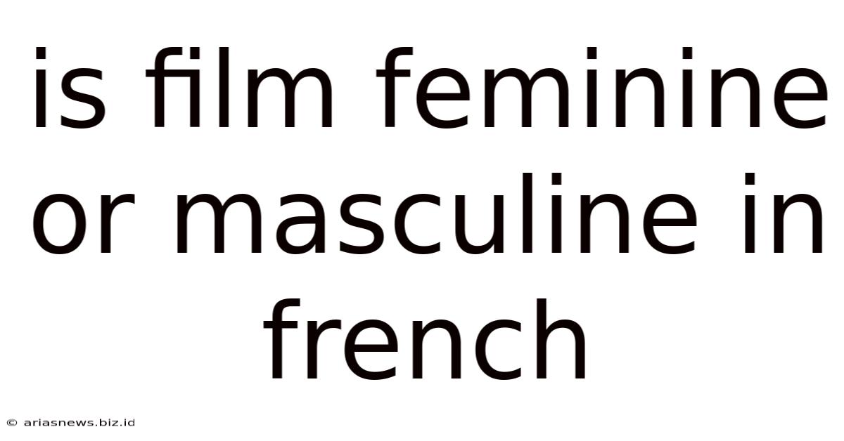 Is Film Feminine Or Masculine In French