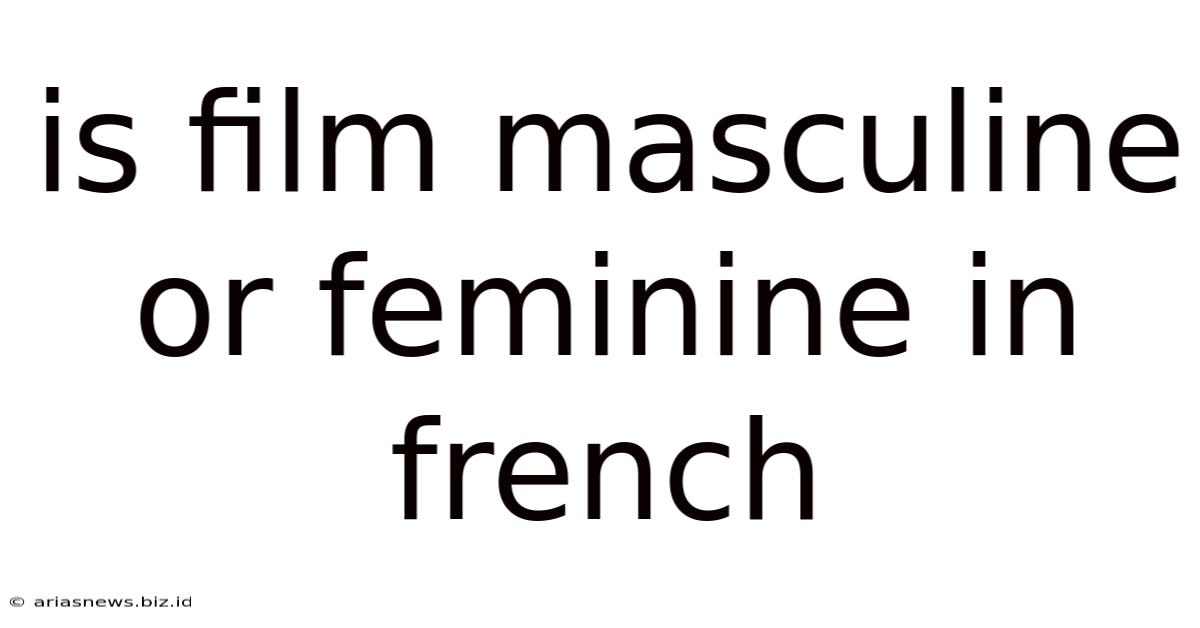 Is Film Masculine Or Feminine In French