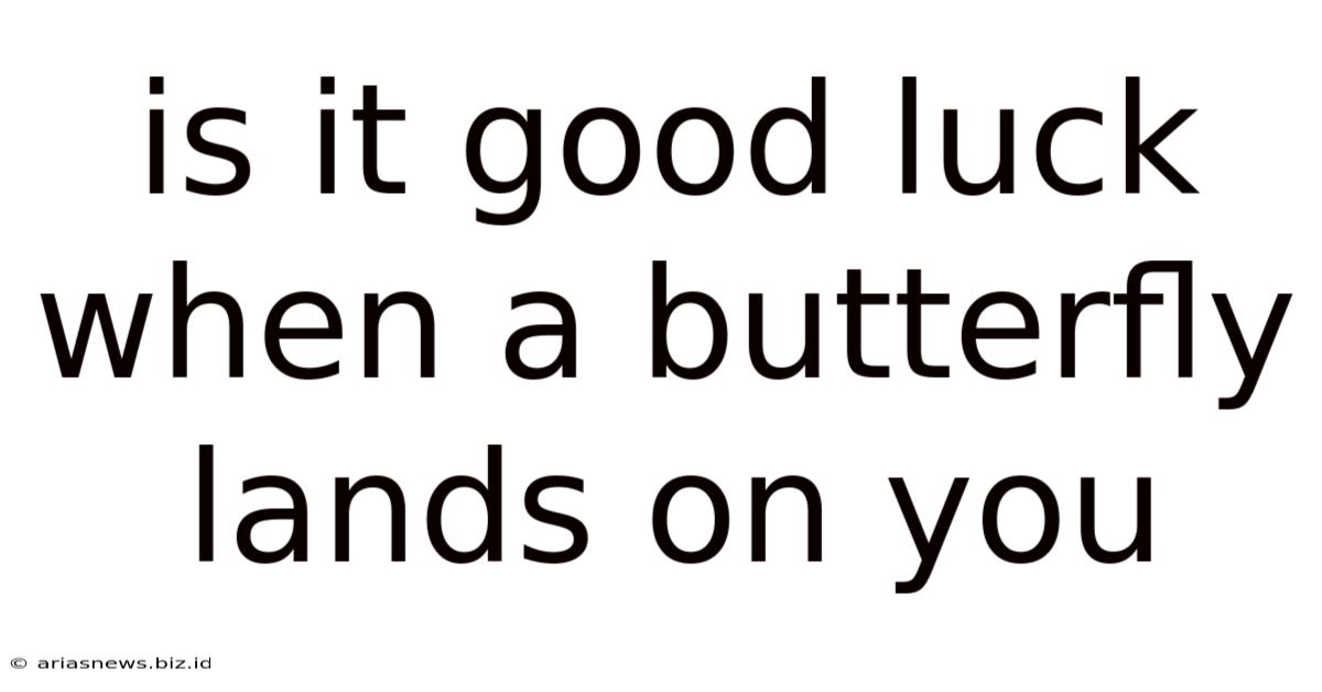 Is It Good Luck When A Butterfly Lands On You