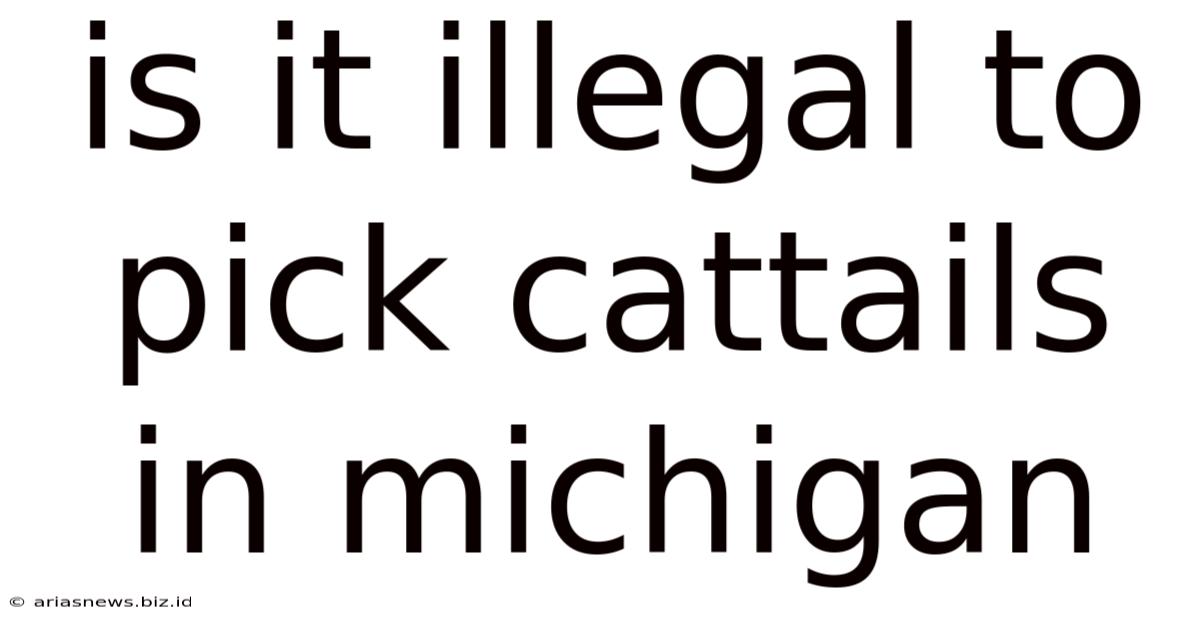 Is It Illegal To Pick Cattails In Michigan