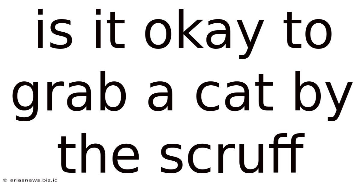 Is It Okay To Grab A Cat By The Scruff