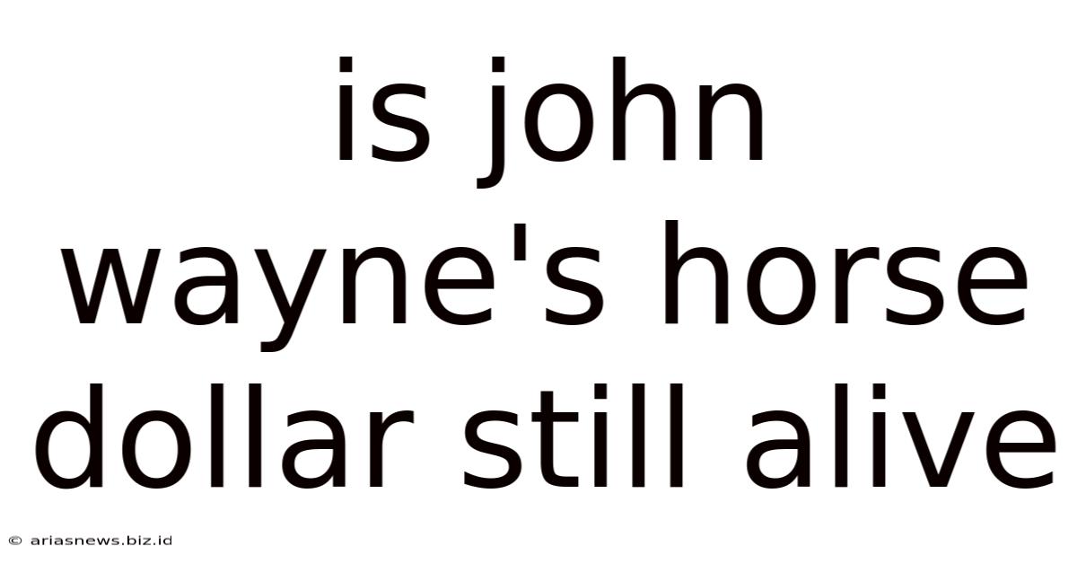 Is John Wayne's Horse Dollar Still Alive