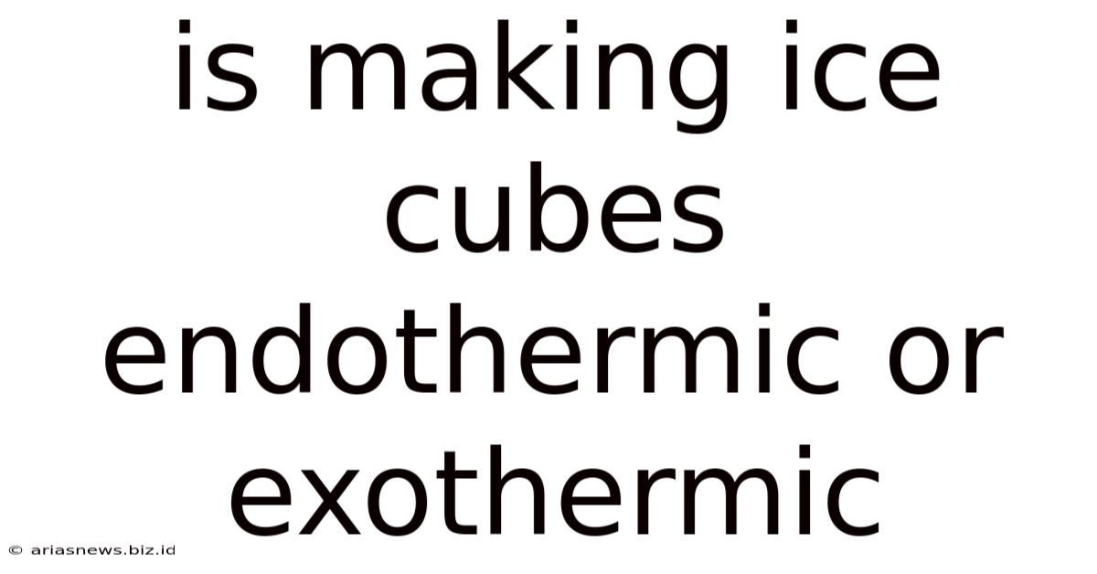Is Making Ice Cubes Endothermic Or Exothermic
