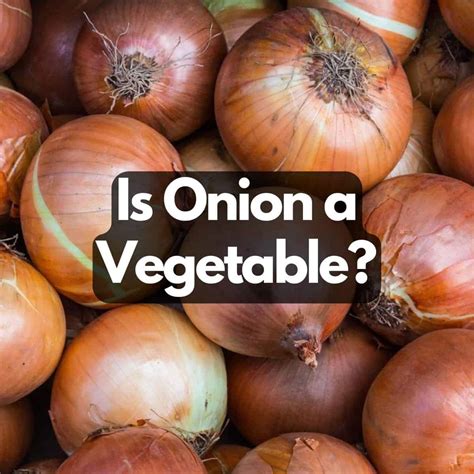 Is Onion A Vegetable Or A Fruit