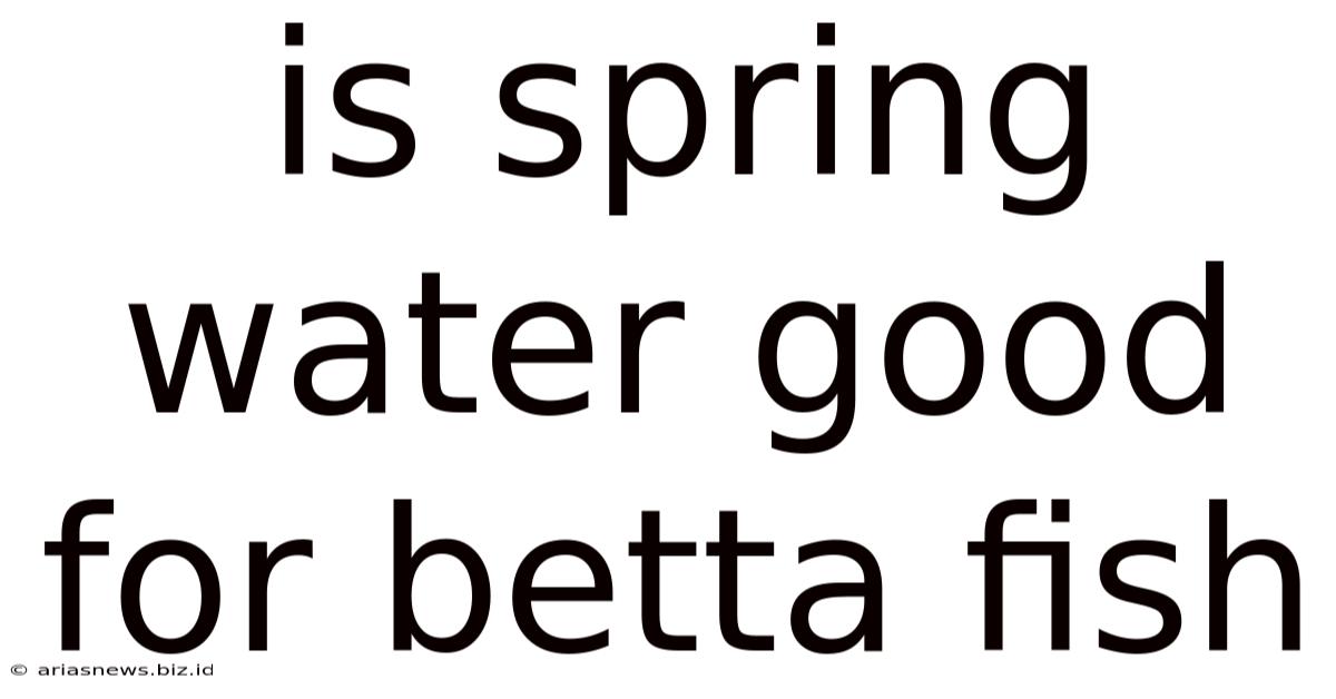 Is Spring Water Good For Betta Fish