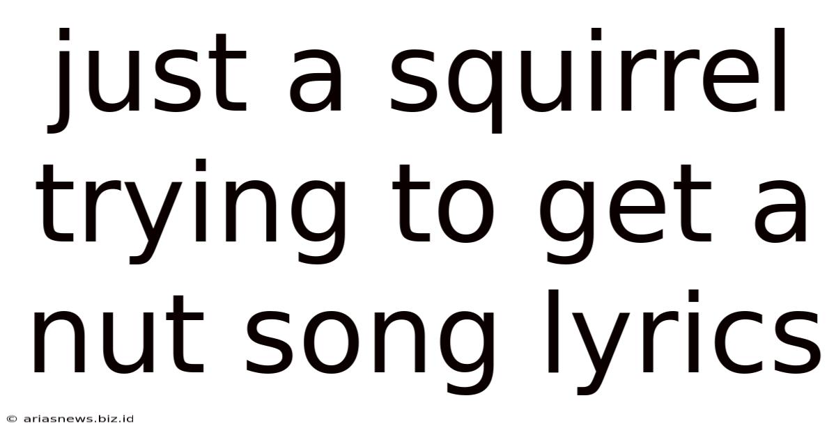 Just A Squirrel Trying To Get A Nut Song Lyrics