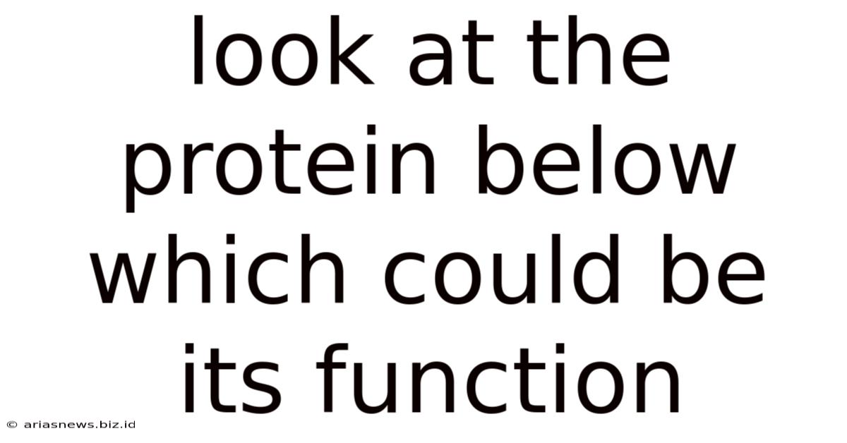 Look At The Protein Below Which Could Be Its Function