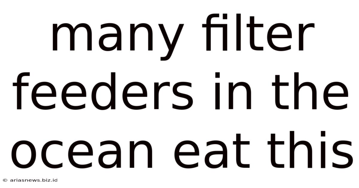 Many Filter Feeders In The Ocean Eat This