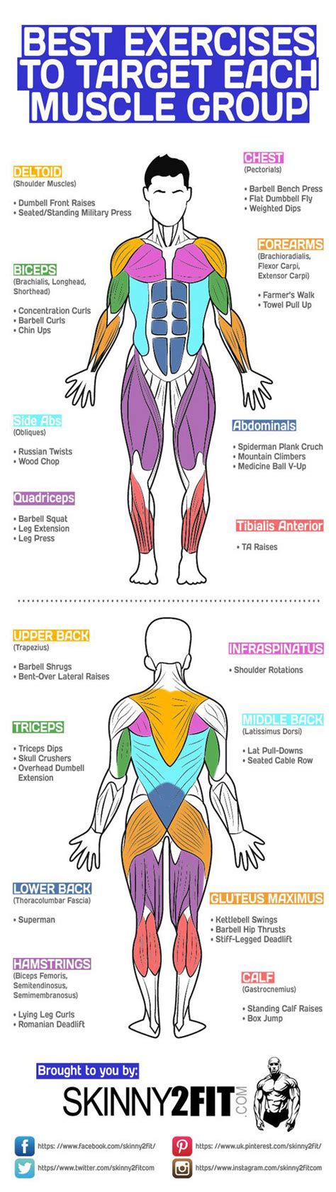 Match Each Exercise To Its Corresponding Muscle Or Muscle Group