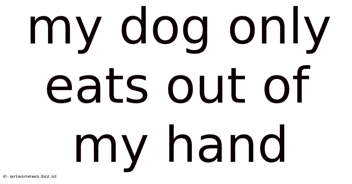My Dog Only Eats Out Of My Hand