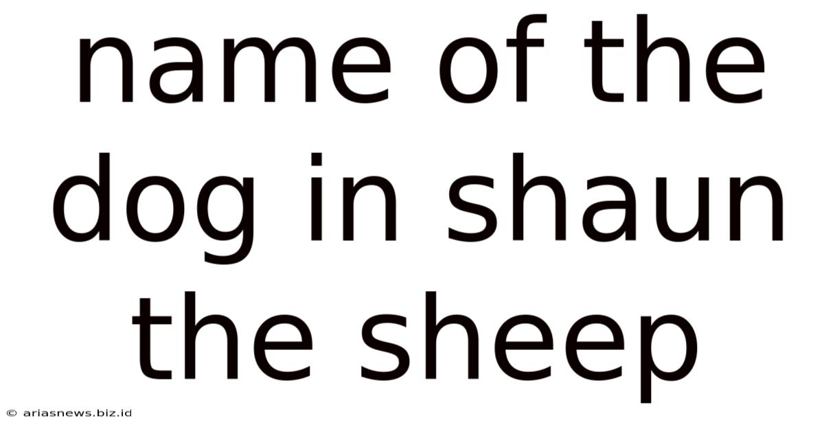 Name Of The Dog In Shaun The Sheep