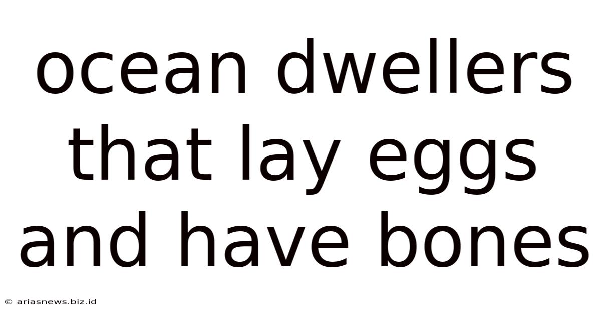 Ocean Dwellers That Lay Eggs And Have Bones