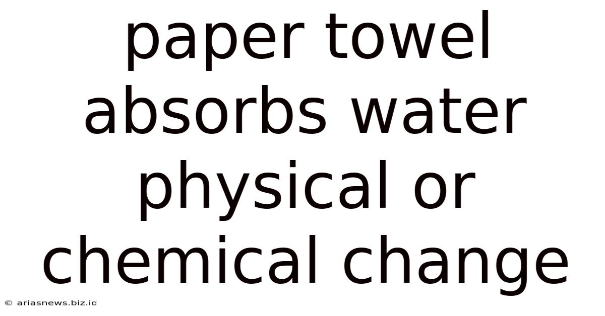 Paper Towel Absorbs Water Physical Or Chemical Change