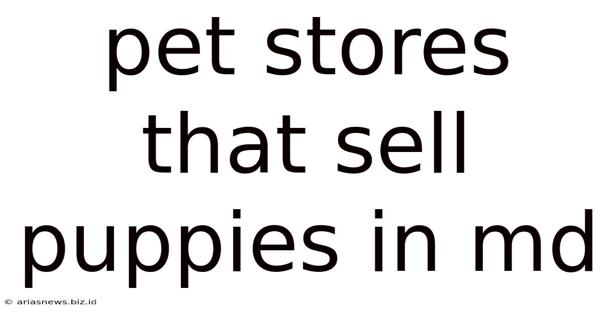 Pet Stores That Sell Puppies In Md
