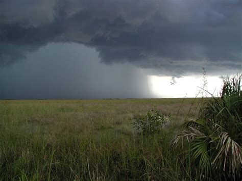 Phenomenon Why Occur A Lot Thunderstorm In Florida