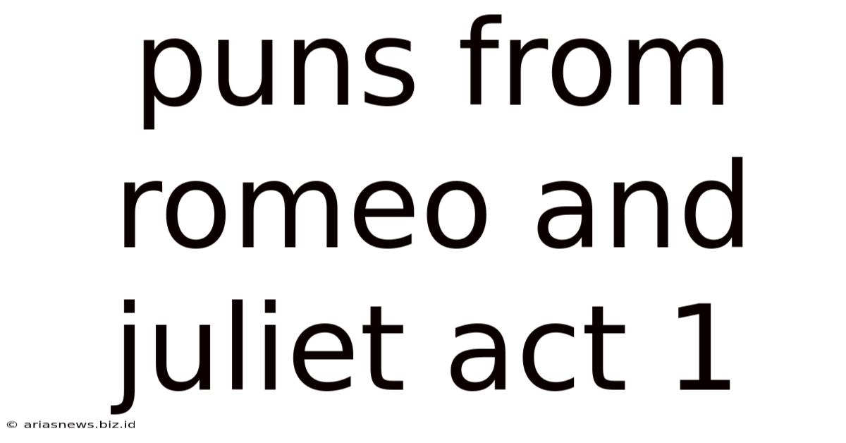Puns From Romeo And Juliet Act 1