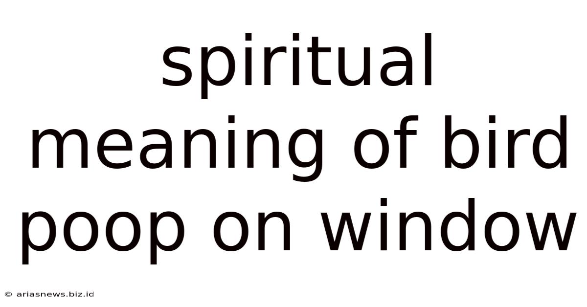 Spiritual Meaning Of Bird Poop On Window