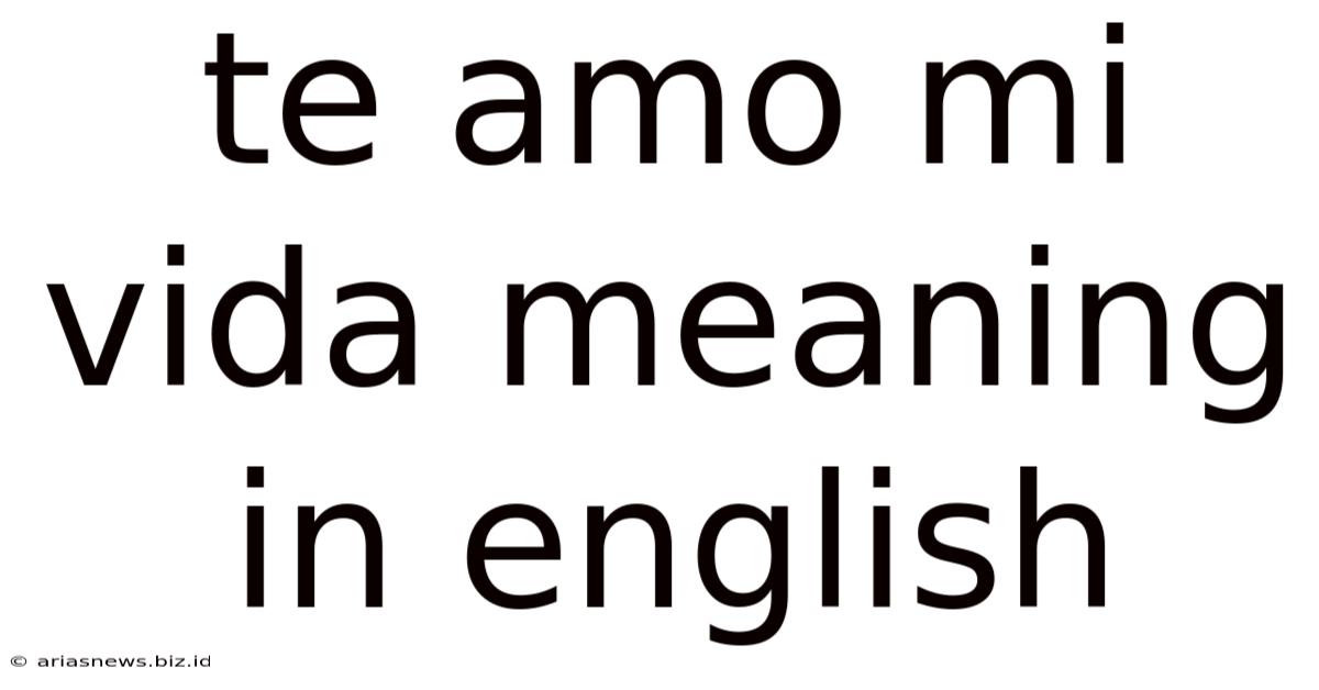 Te Amo Mi Vida Meaning In English