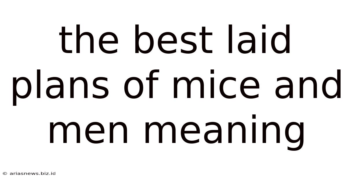 The Best Laid Plans Of Mice And Men Meaning