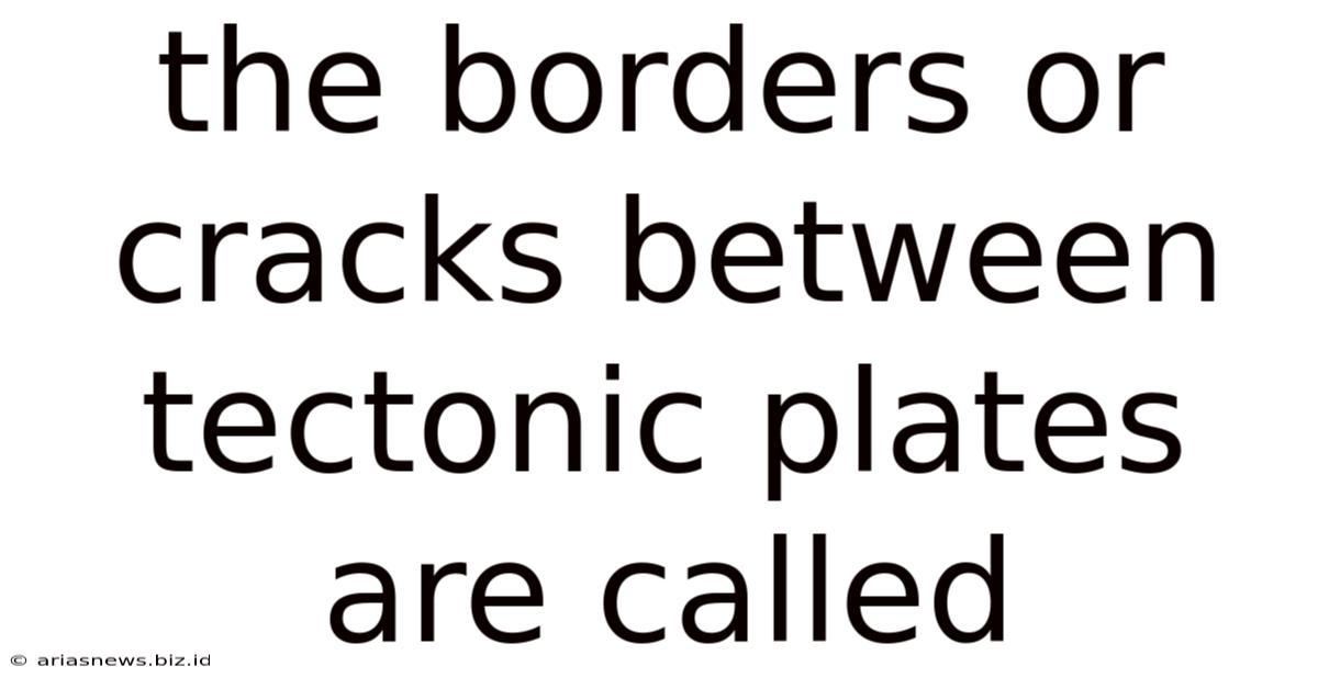 The Borders Or Cracks Between Tectonic Plates Are Called