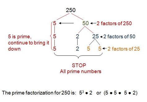 The Greatest Common Factor Of 250 And 300 Is