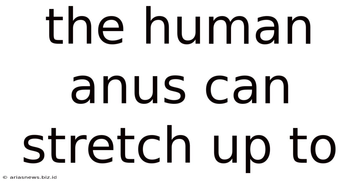 The Human Anus Can Stretch Up To