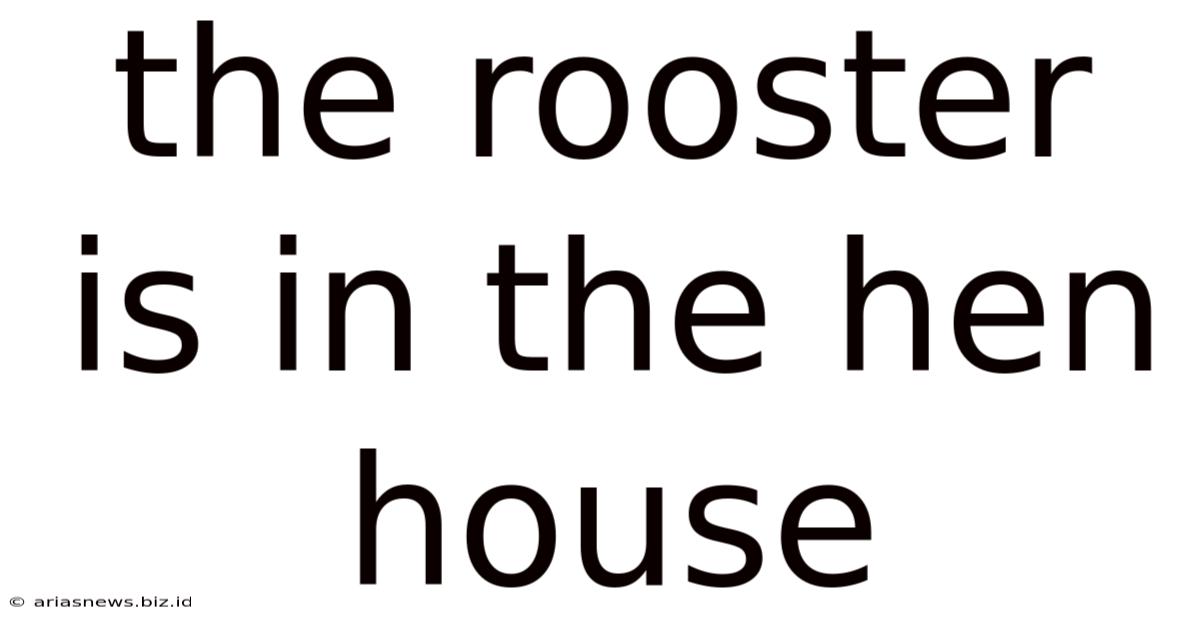 The Rooster Is In The Hen House