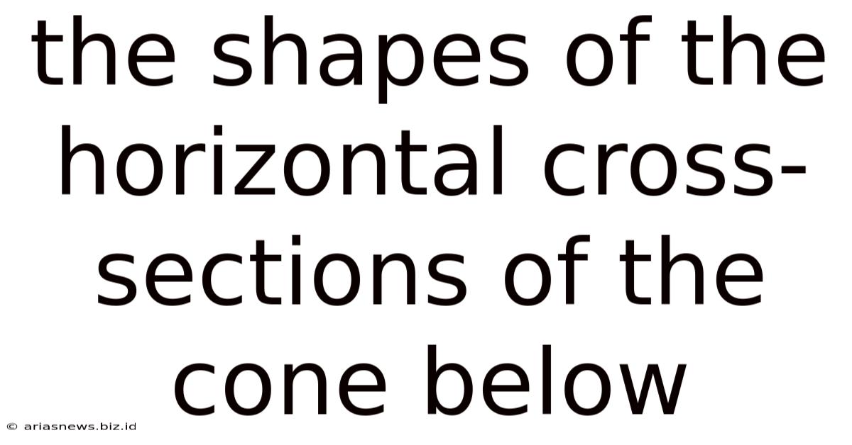 The Shapes Of The Horizontal Cross-sections Of The Cone Below