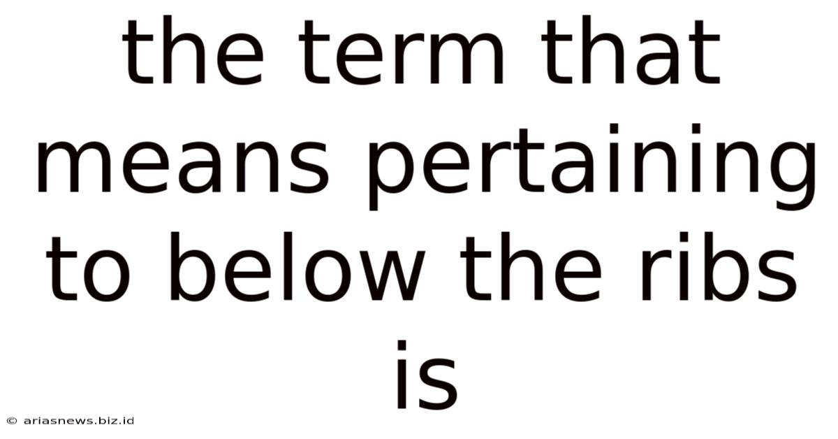 The Term That Means Pertaining To Below The Ribs Is