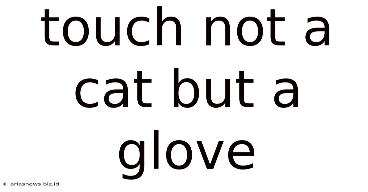 Touch Not A Cat But A Glove