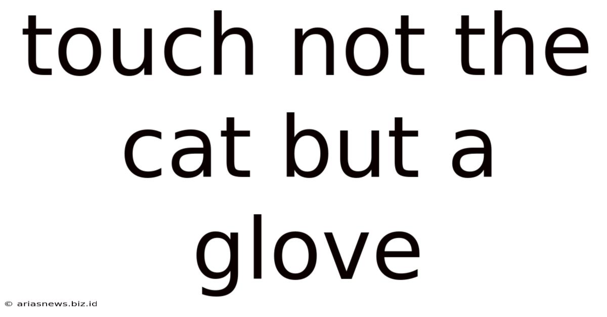 Touch Not The Cat But A Glove