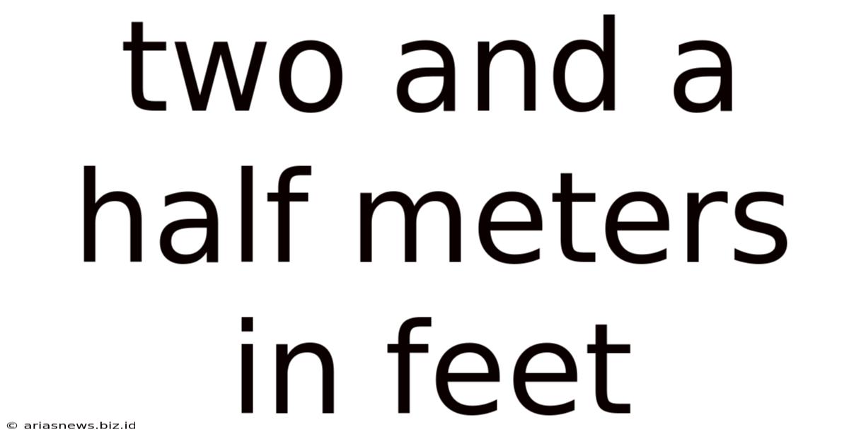 Two And A Half Meters In Feet